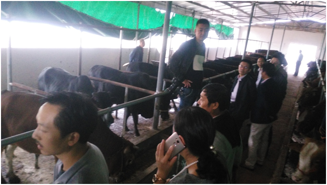 ������(�й���)���޹�˾����