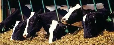 ������(�й���)���޹�˾����