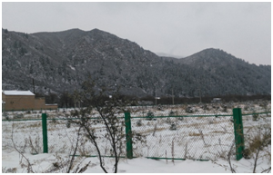 ������(�й���)���޹�˾����