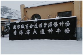 ������(�й���)���޹�˾����