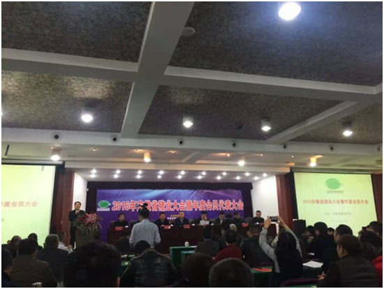 ������(�й���)���޹�˾����