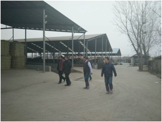 ������(�й���)���޹�˾����