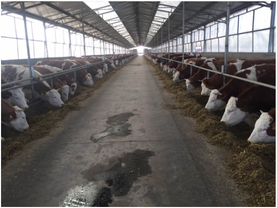 ������(�й���)���޹�˾����