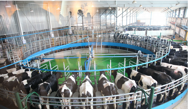 ������(�й���)���޹�˾����