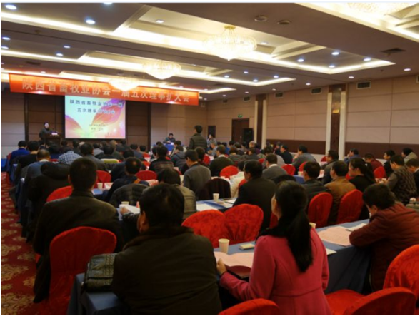 ������(�й���)���޹�˾����