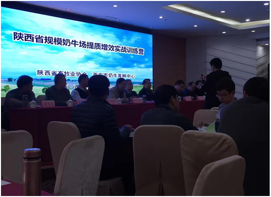 ������(�й���)���޹�˾����