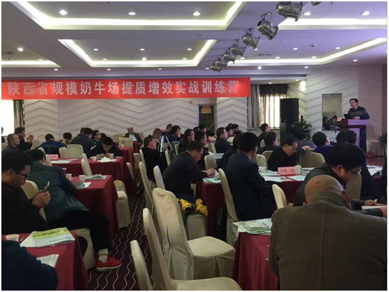 ������(�й���)���޹�˾����