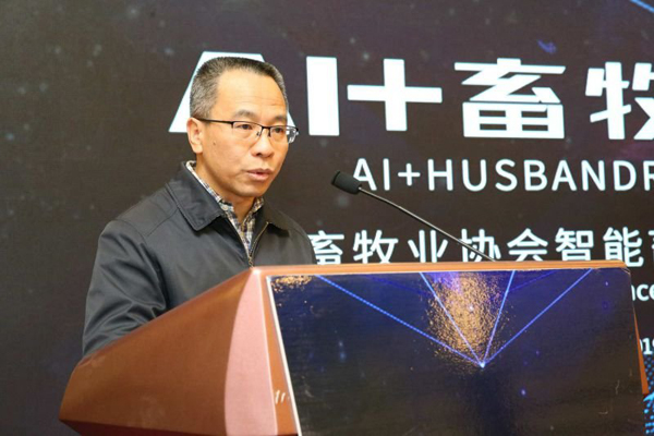 ������(�й���)���޹�˾����