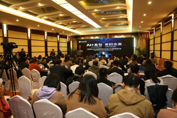 ������(�й���)���޹�˾����