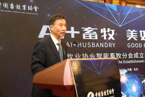 ������(�й���)���޹�˾����