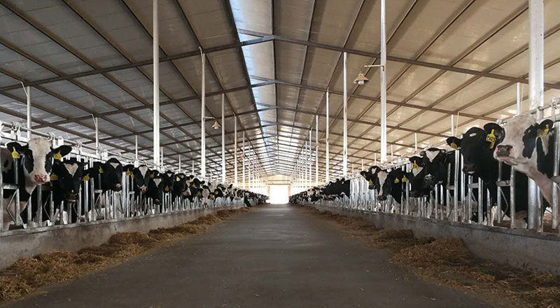 ������(�й���)���޹�˾����