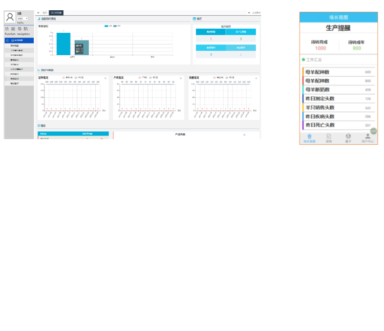 ������(�й���)���޹�˾����