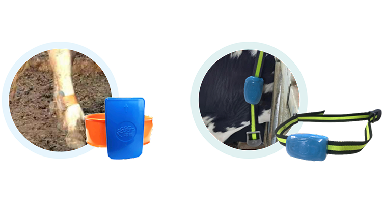 ������(�й���)���޹�˾����