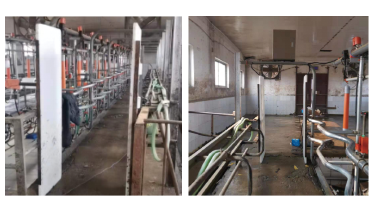 ������(�й���)���޹�˾����