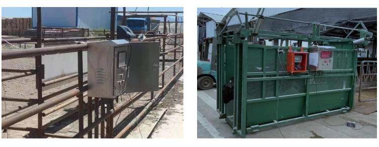 ������(�й���)���޹�˾����