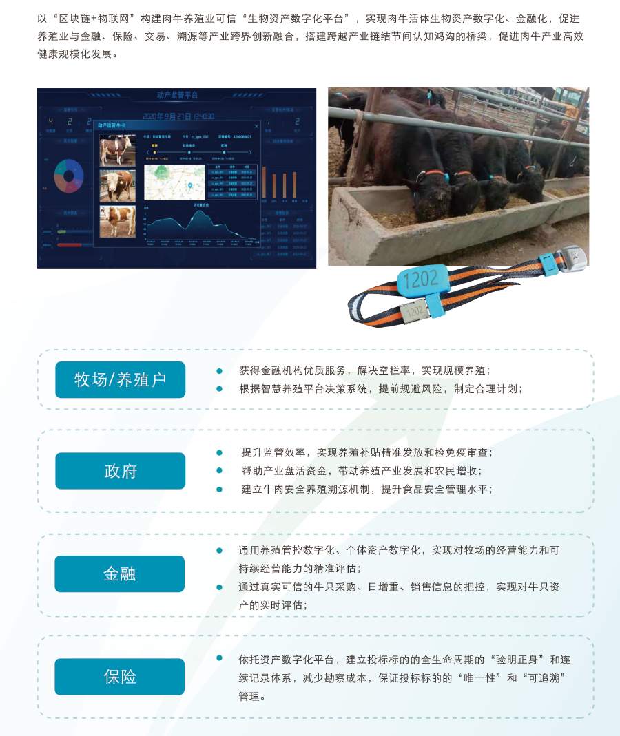 ������(�й���)���޹�˾����