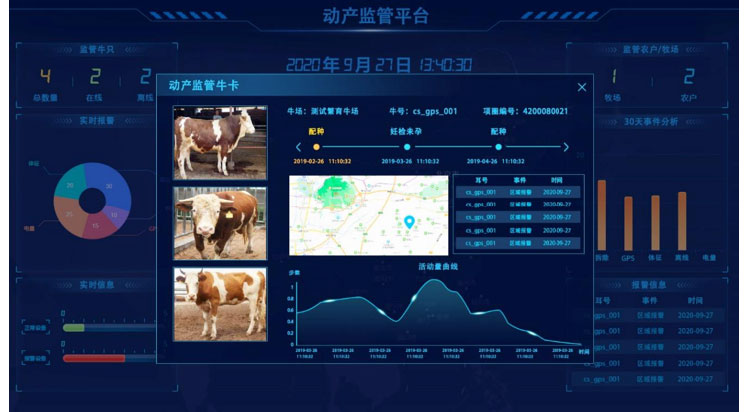 ������(�й���)���޹�˾����