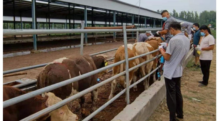 ������(�й���)���޹�˾����