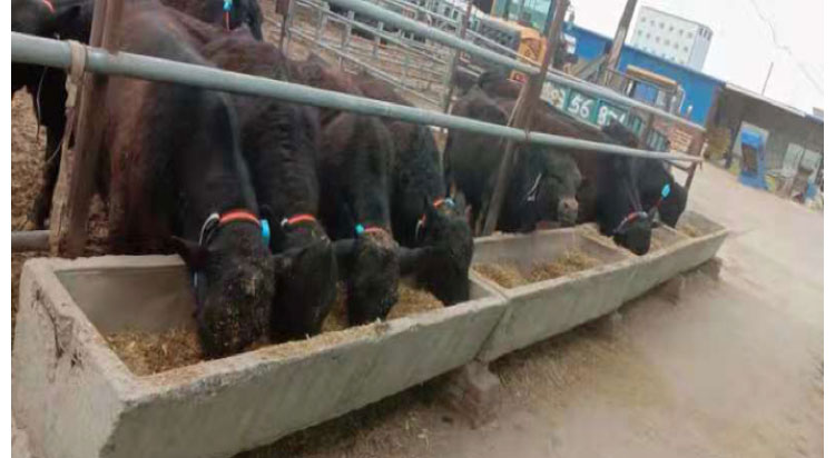 ������(�й���)���޹�˾����