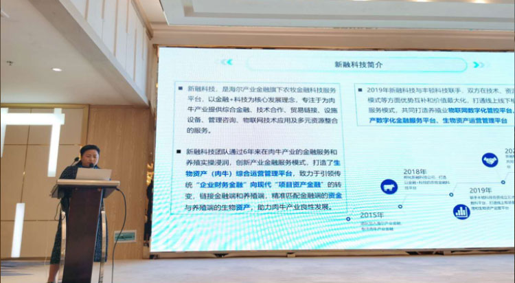 ������(�й���)���޹�˾����