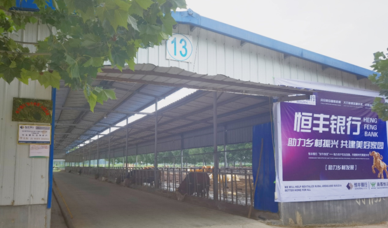 ������(�й���)���޹�˾����