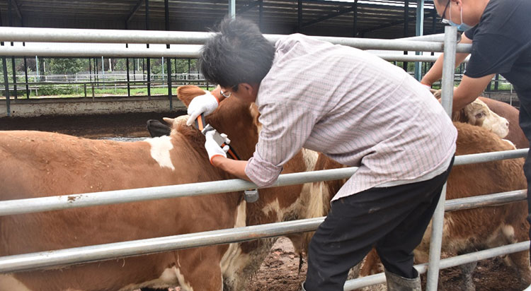 ������(�й���)���޹�˾����