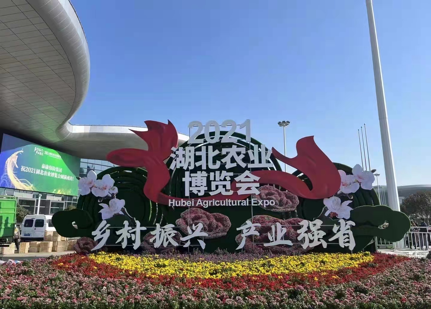 ������(�й���)���޹�˾����