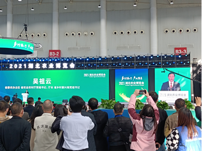 ������(�й���)���޹�˾����