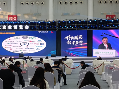 ������(�й���)���޹�˾����