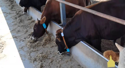 ������(�й���)���޹�˾����