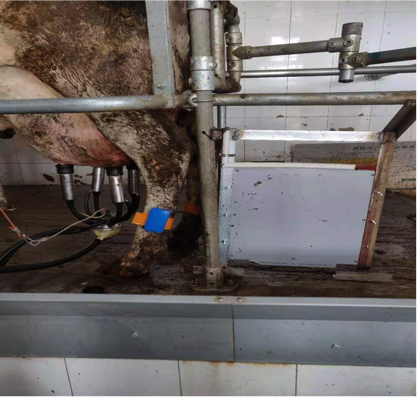 ������(�й���)���޹�˾����