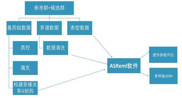 ������(�й���)���޹�˾����