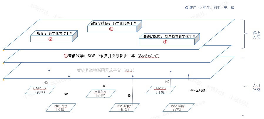 ������(�й���)���޹�˾����