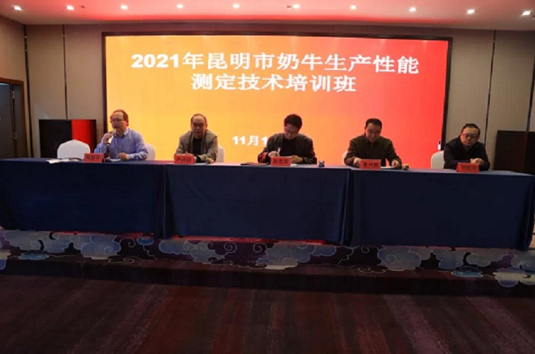 ������(�й���)���޹�˾����