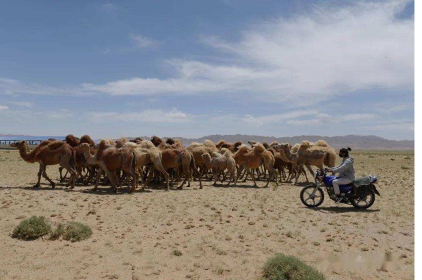 ������(�й���)���޹�˾����