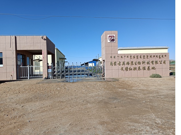 ������(�й���)���޹�˾����