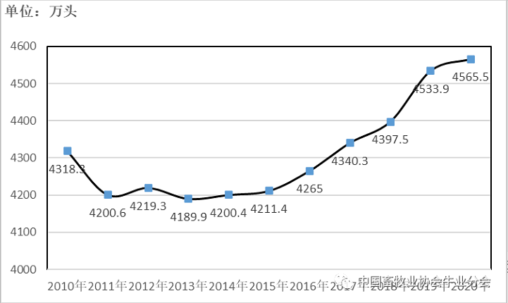 ������(�й���)���޹�˾����