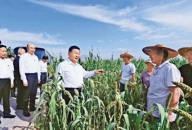 ������(�й���)���޹�˾����