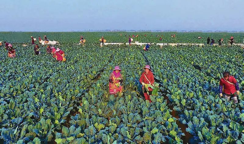 ������(�й���)���޹�˾����