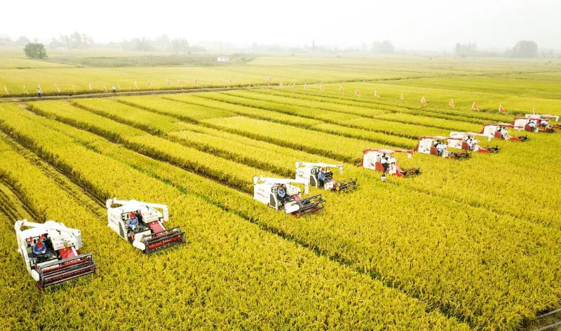 ������(�й���)���޹�˾����