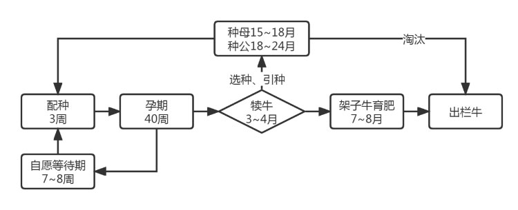 ������(�й���)���޹�˾����