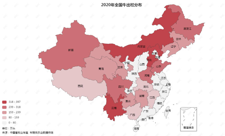 ������(�й���)���޹�˾����