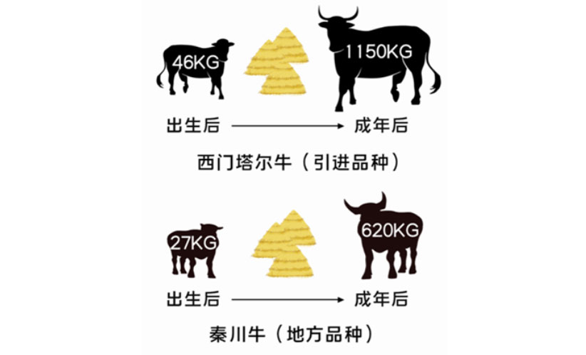 ������(�й���)���޹�˾����