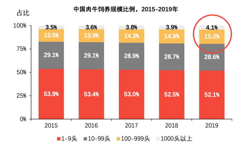 ������(�й���)���޹�˾����