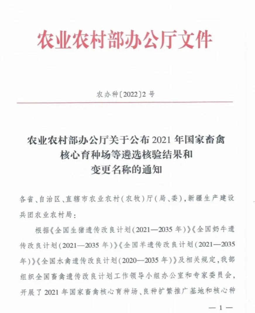 ������(�й���)���޹�˾����