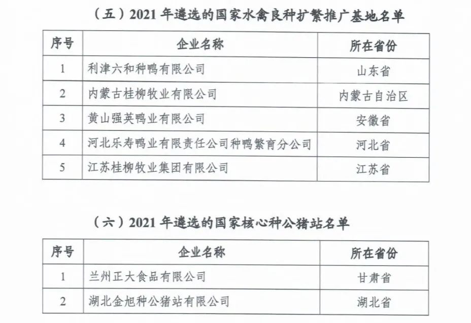 ������(�й���)���޹�˾����