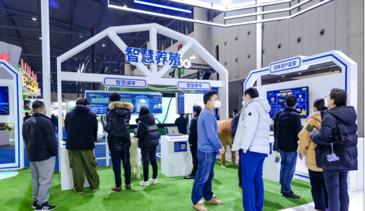 ������(�й���)���޹�˾����