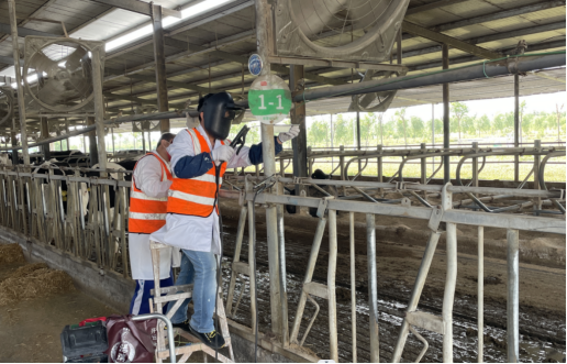 ������(�й���)���޹�˾����