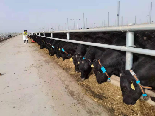 ������(�й���)���޹�˾����