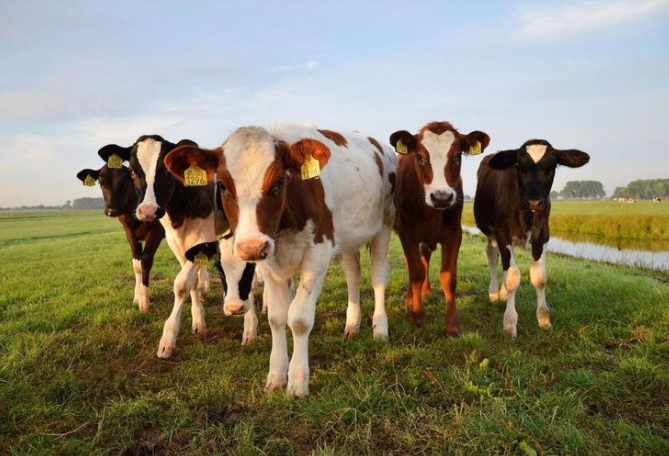 ������(�й���)���޹�˾����